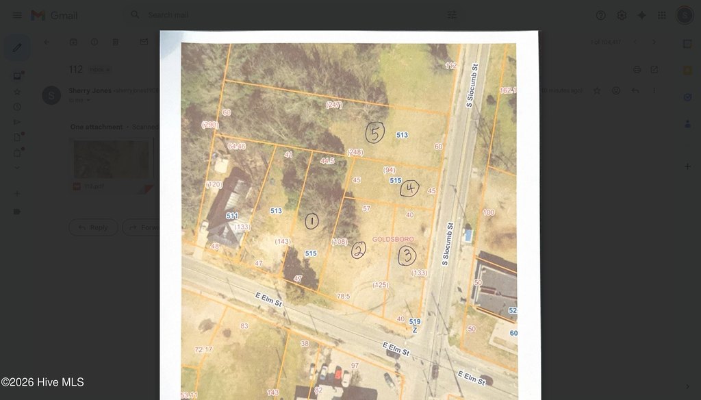 Picture 5
