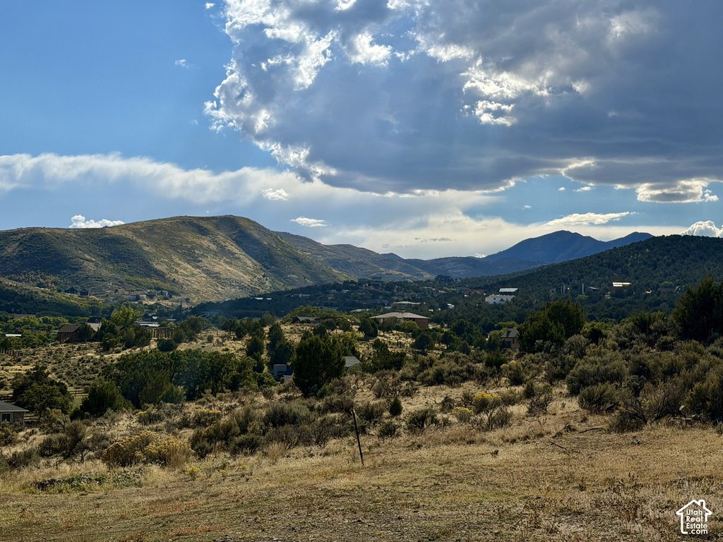 Picture 8