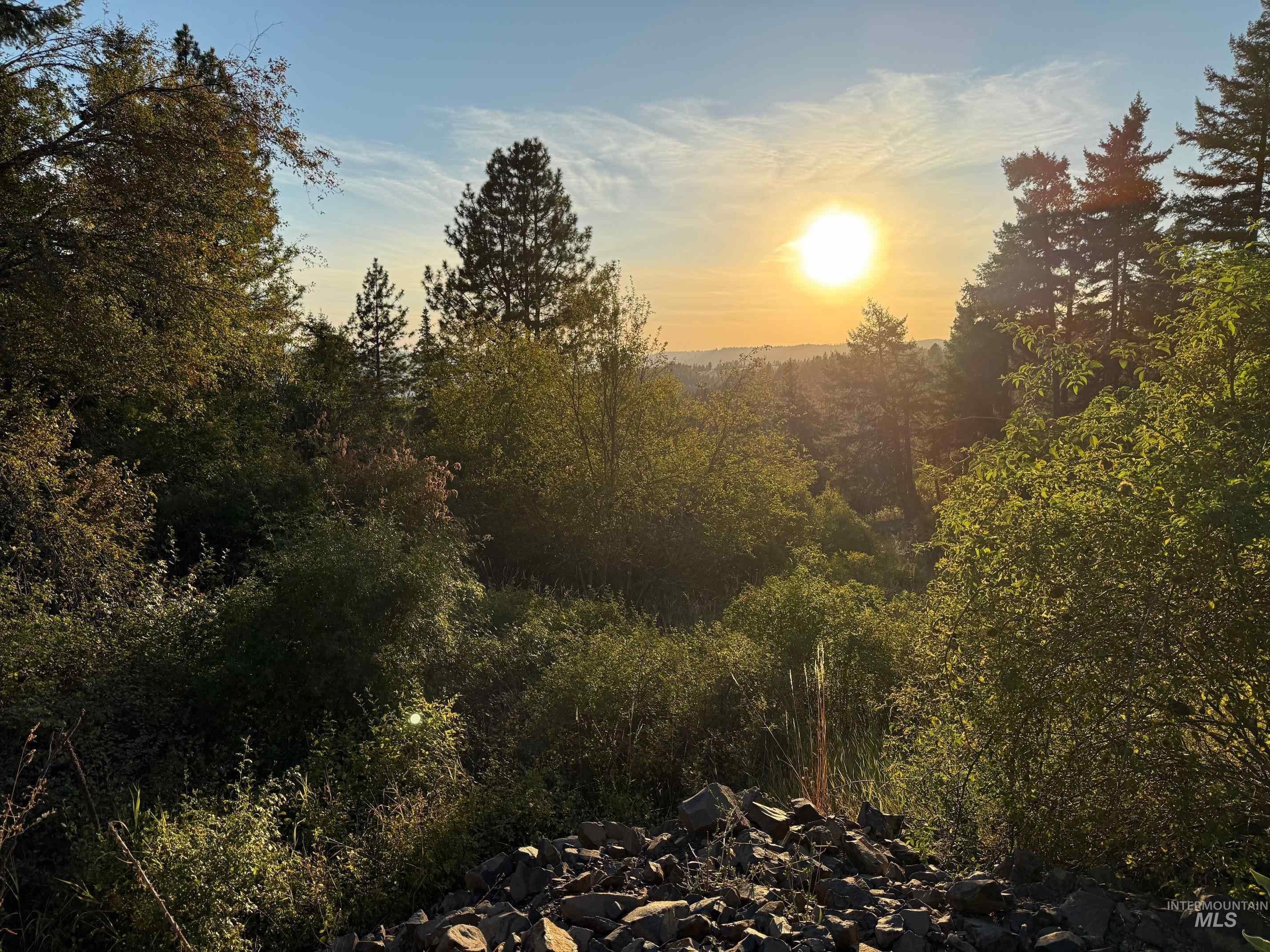 Orofino, ID Land Parcel