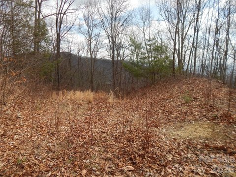 Waynesville Land with Mountain Views