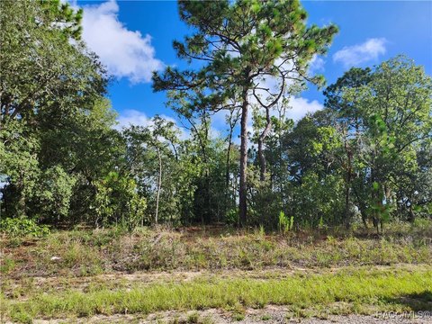 Land, Dunnellon, FL