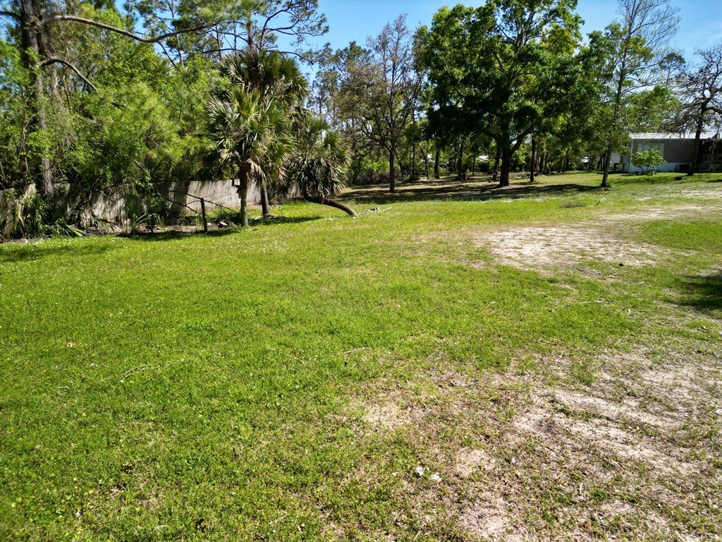 Picture 16