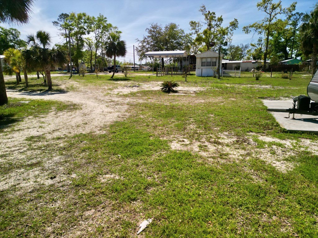 Picture 19