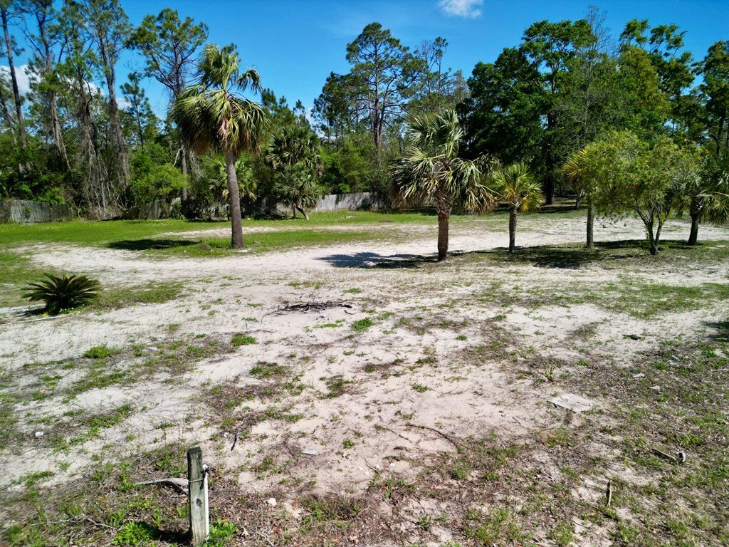 Picture 15