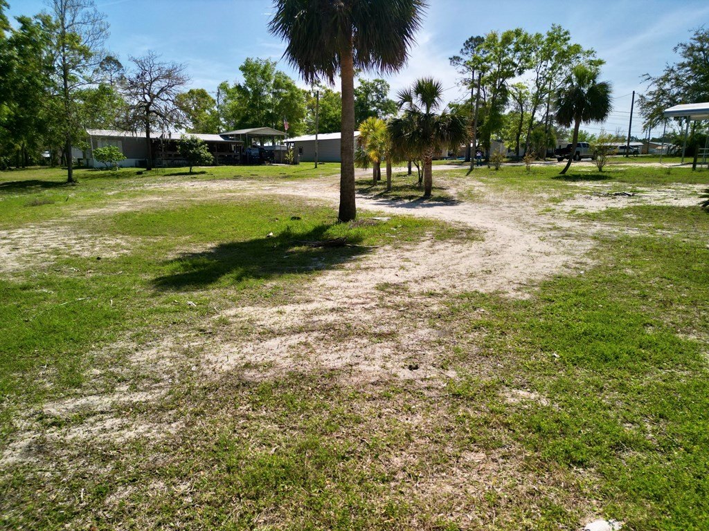 Picture 17