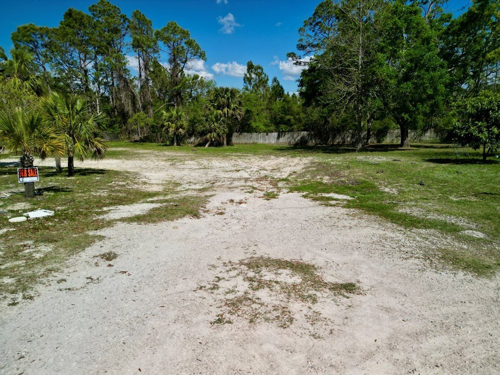 Picture 14