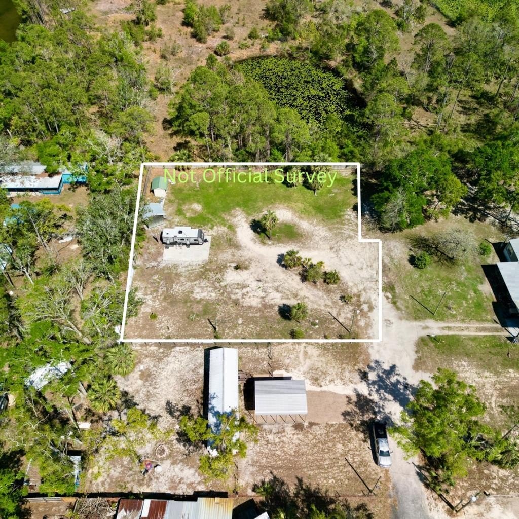 Steinhatchee Land with Utilities