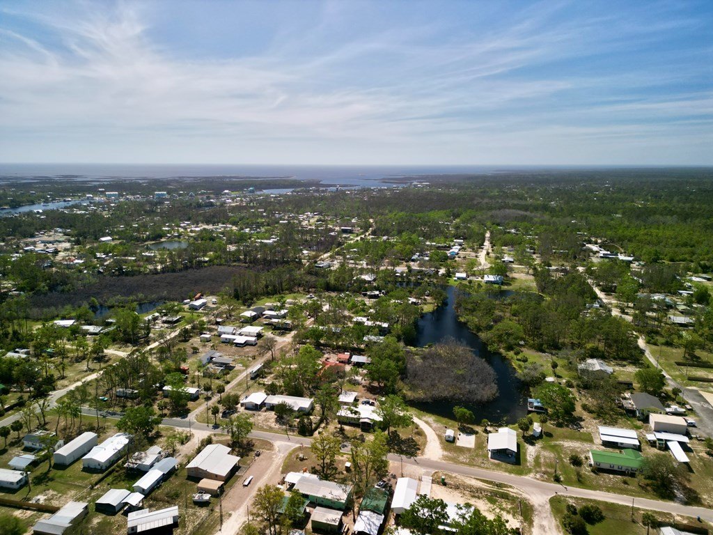 Picture 7