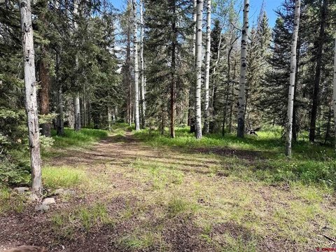 Wooded Mountain Lot with Cleared Area