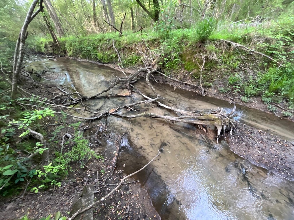 Picture 19