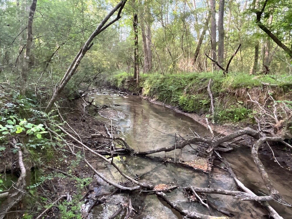 Picture 23