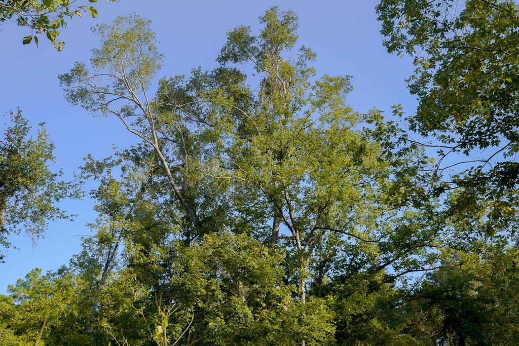 Picture 24