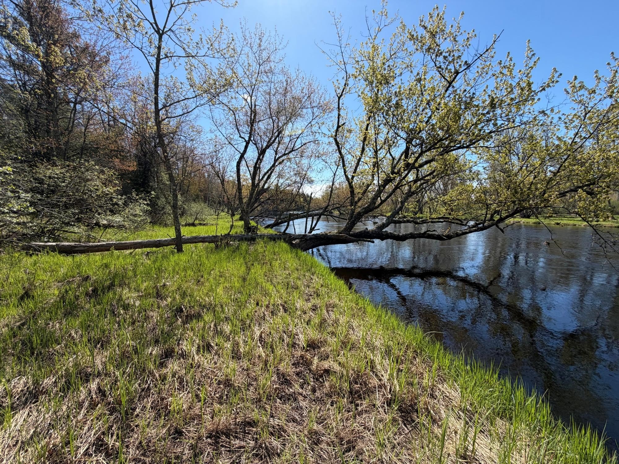 Wisconsin River Waterfront Acreage
