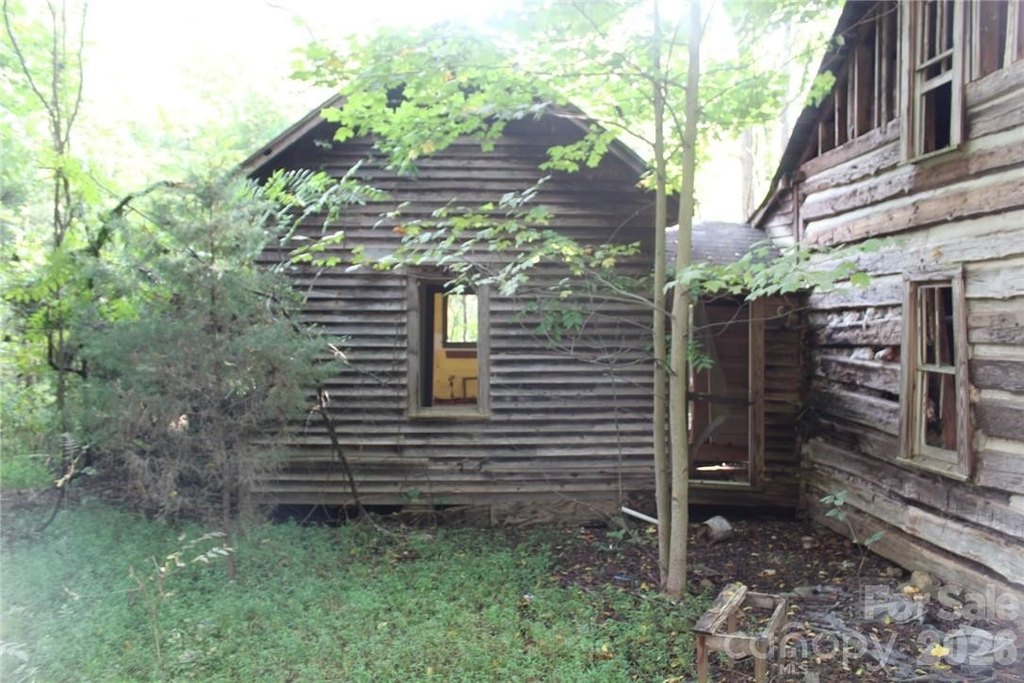 Picture 31