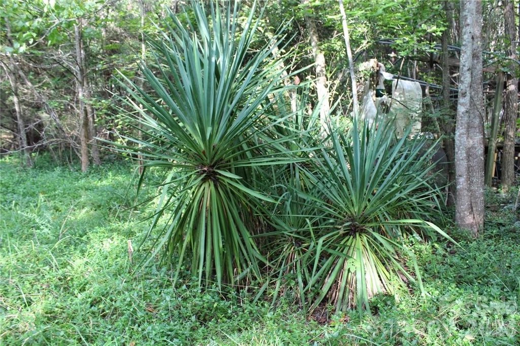 Picture 30