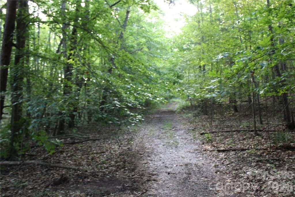 Picture 22
