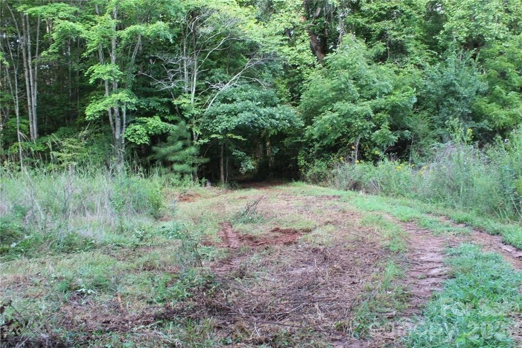 Picture 20