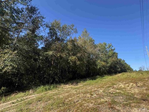 Land, Flomaton, AL