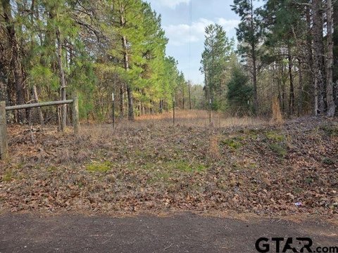 Wooded Recreational Land Tract