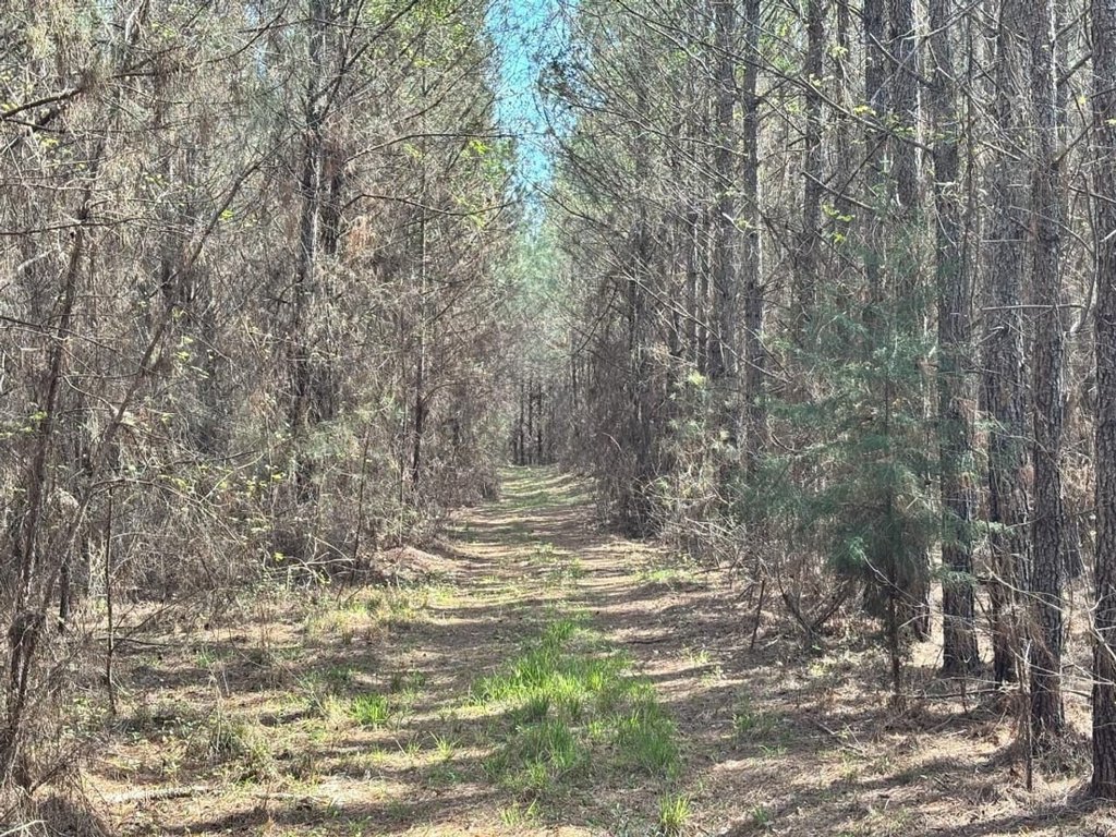 Picture 8