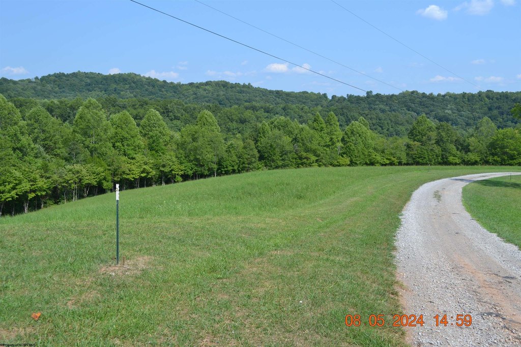 Picture 2