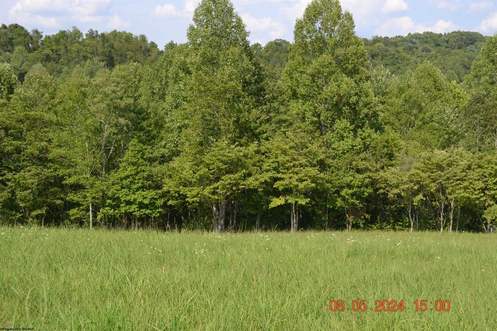 Picture 6