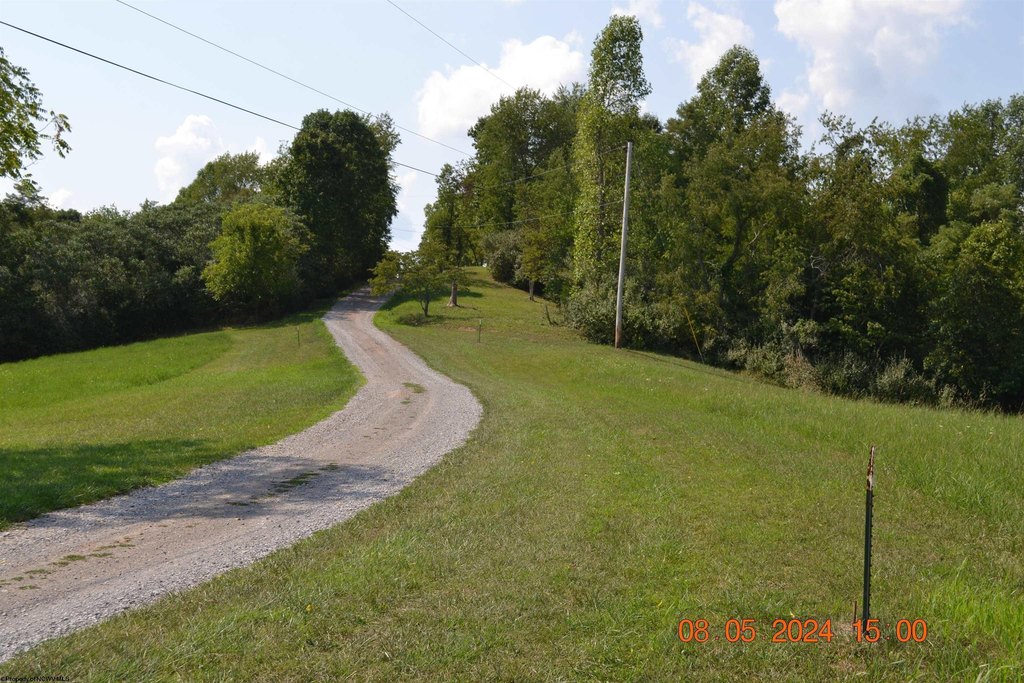 Picture 5