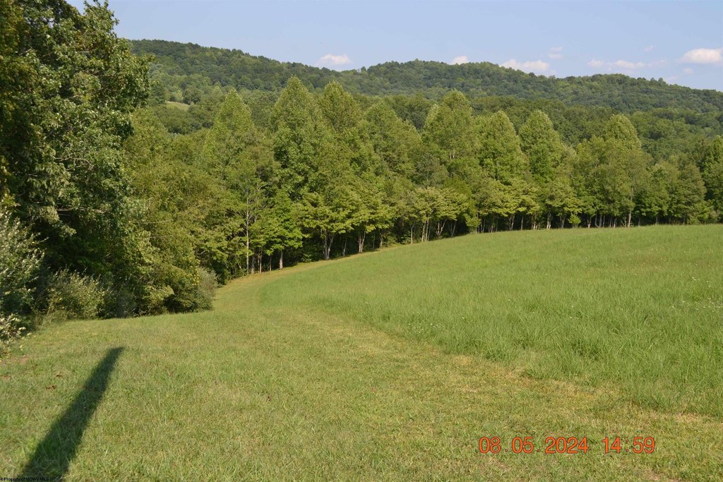Picture 3