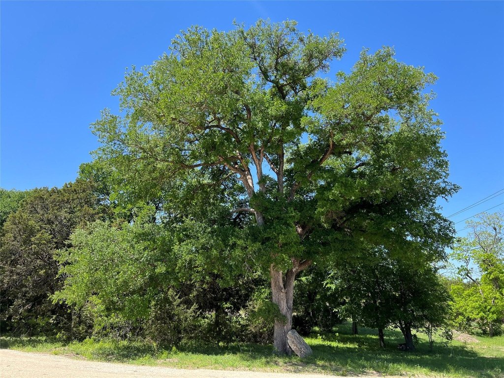 Picture 35