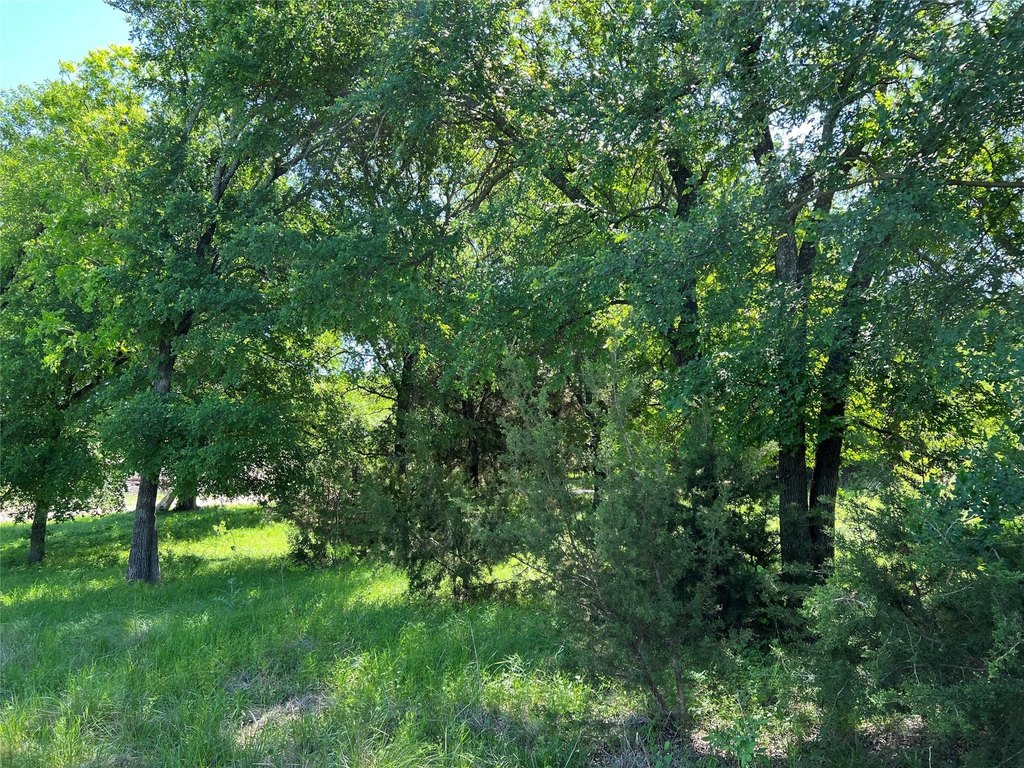 Picture 33