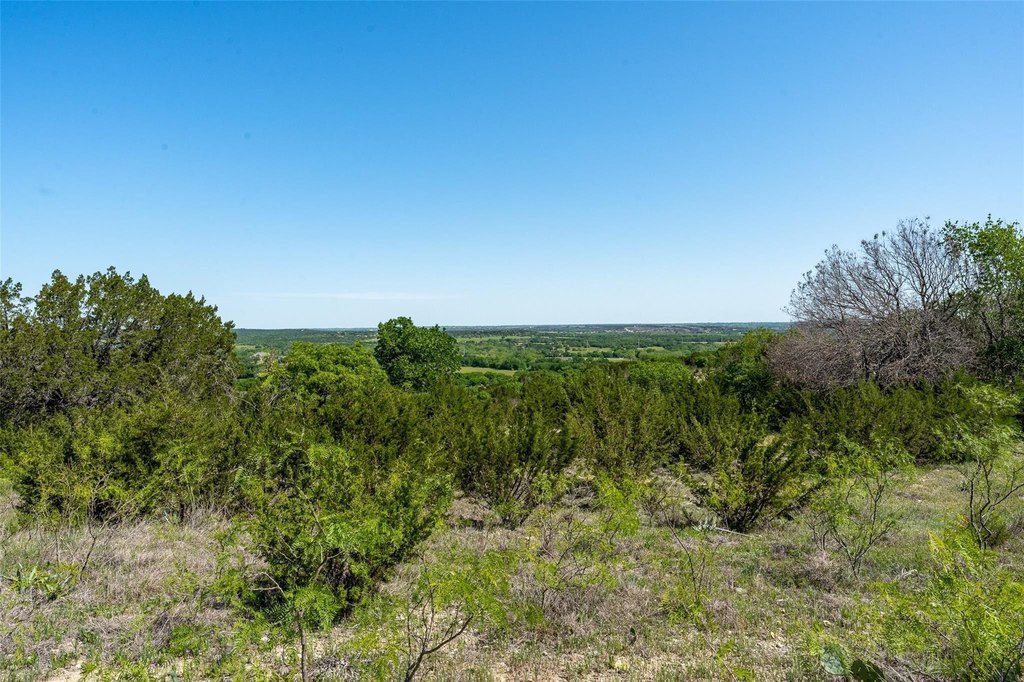 Picture 23