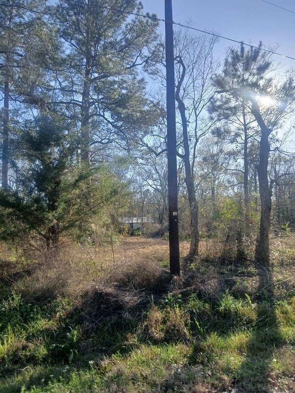 Picture 4