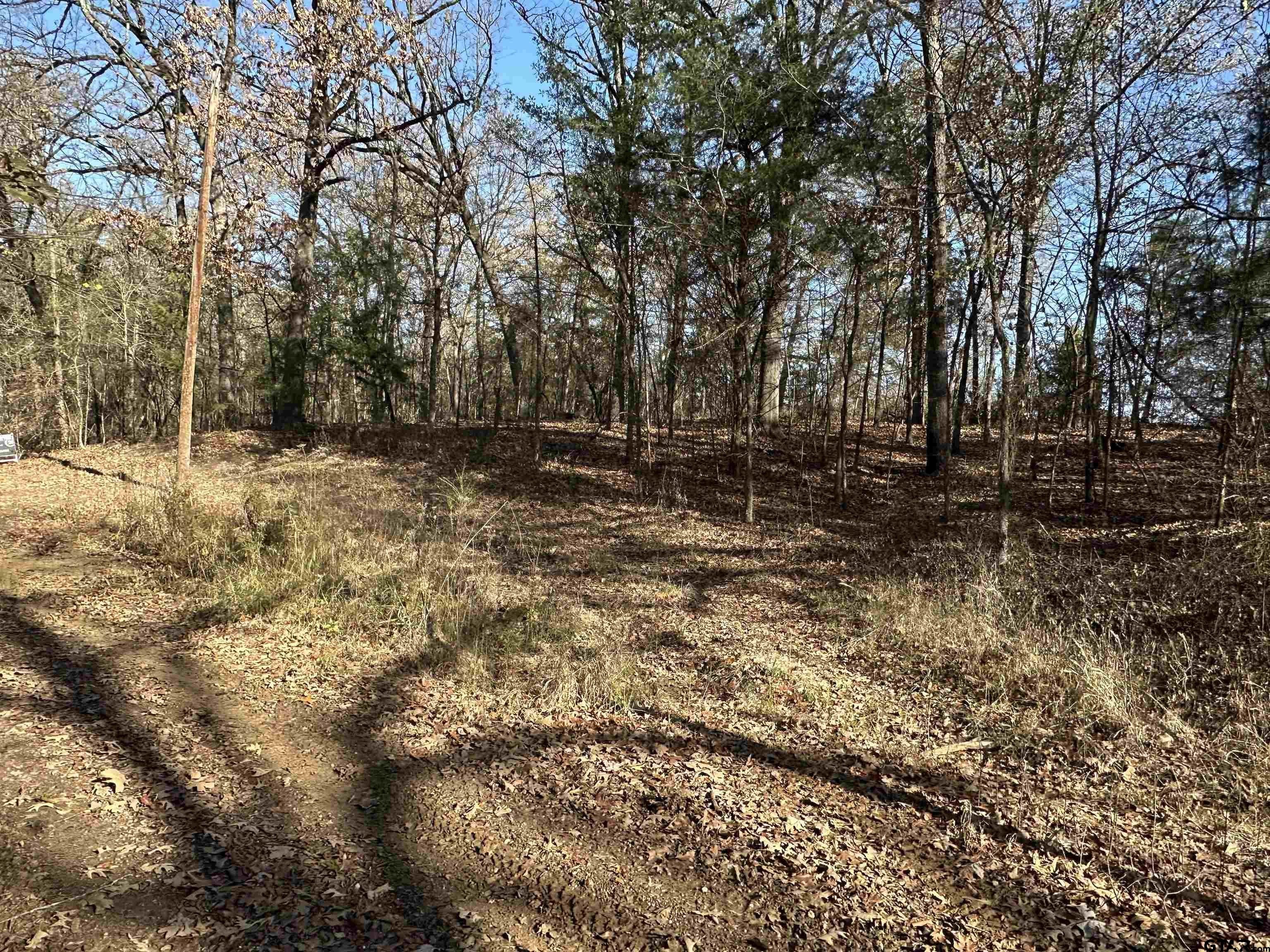 Thunderbird Point Wooded Lots
