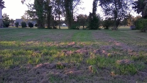 Destrehan Land with Golf Views