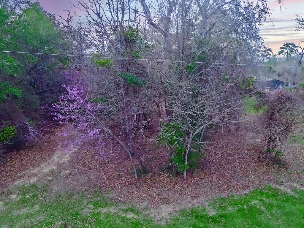 Picture 15