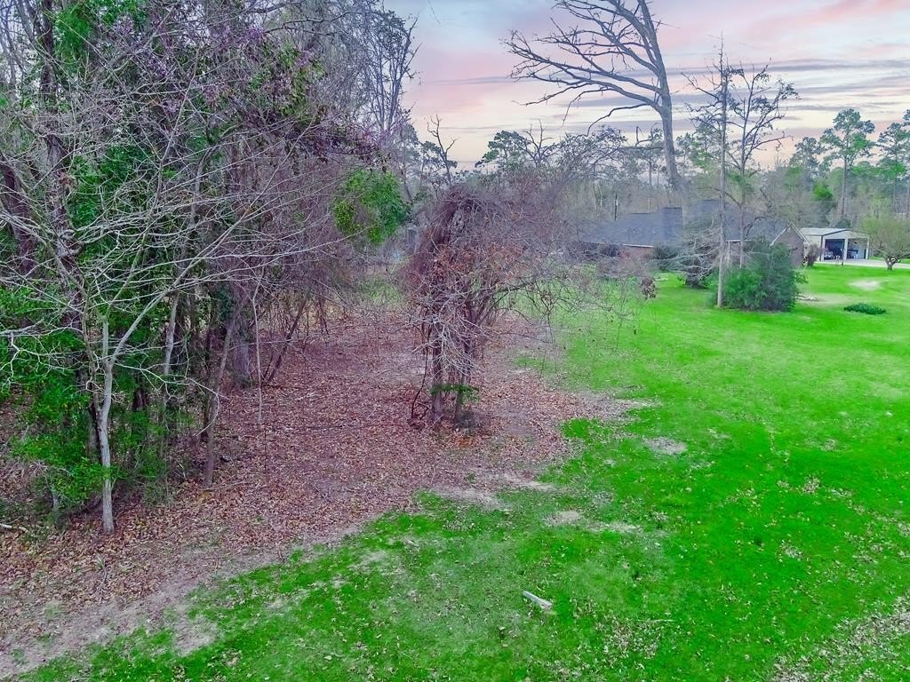 Picture 16