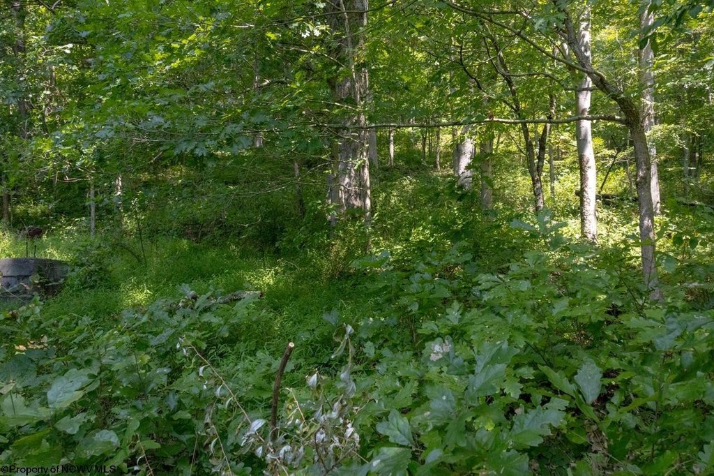 Picture 19