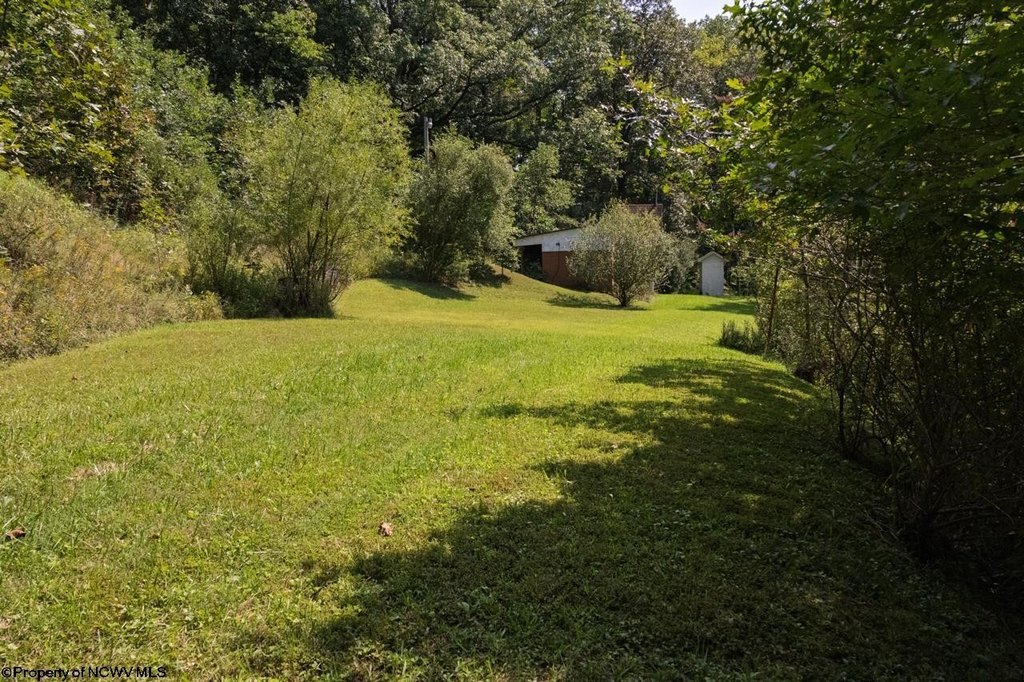 Picture 12