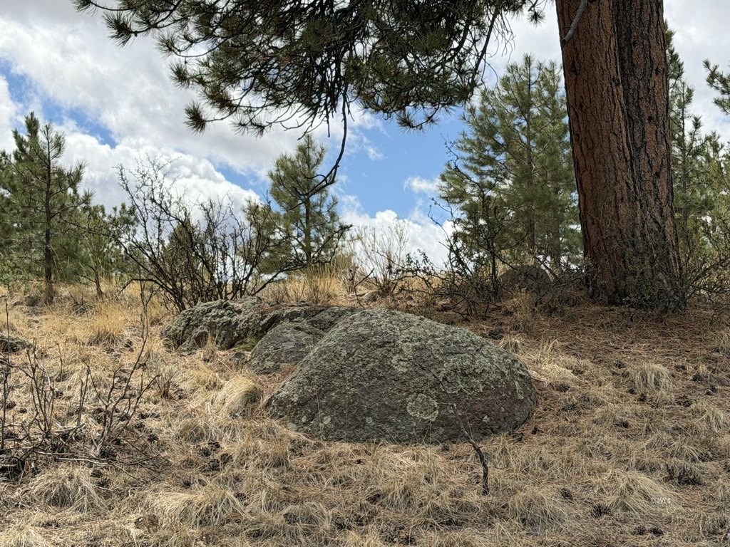 Picture 13
