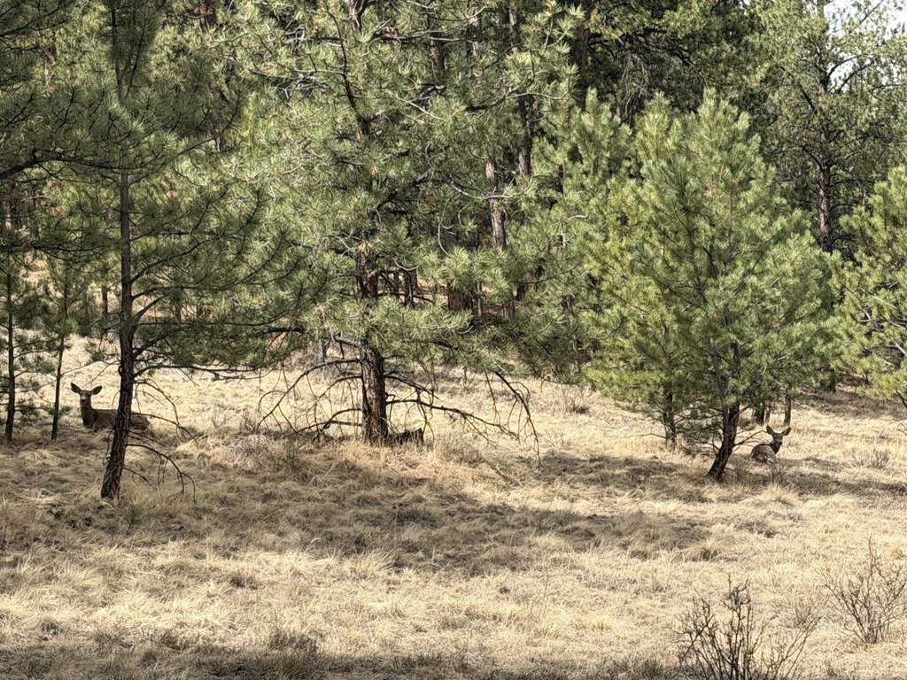 Picture 23