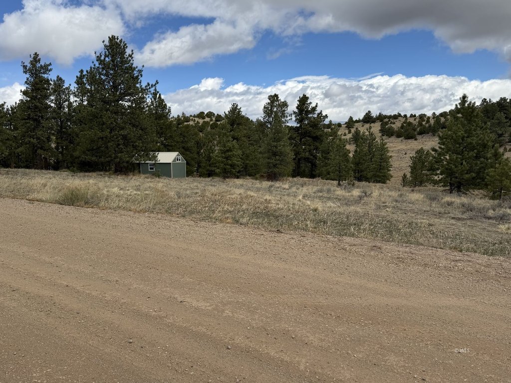 Picture 30