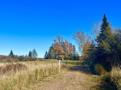 160 Acres Hunting Land, Catawba