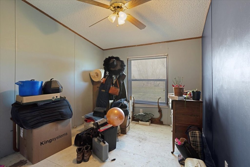 Picture 33