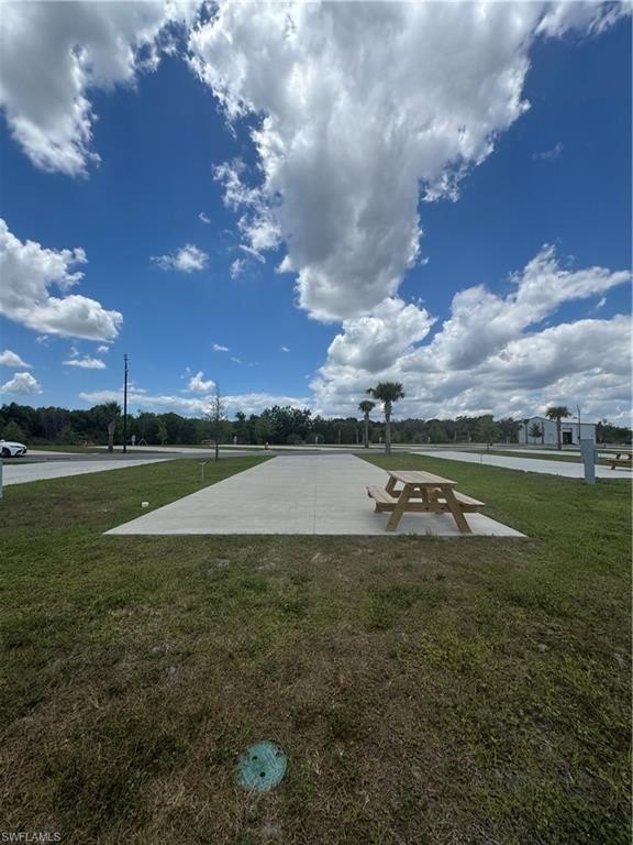 Picture 6