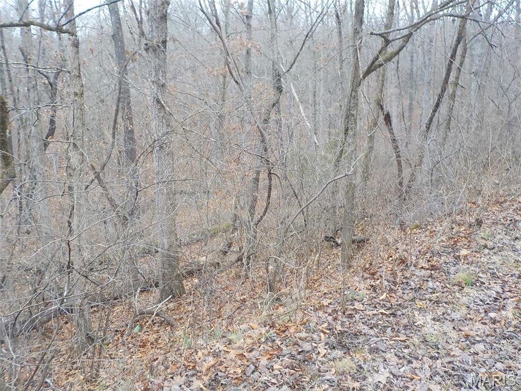 Picture 8