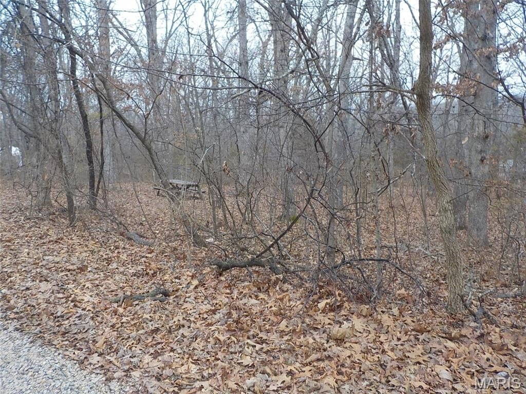 Picture 5