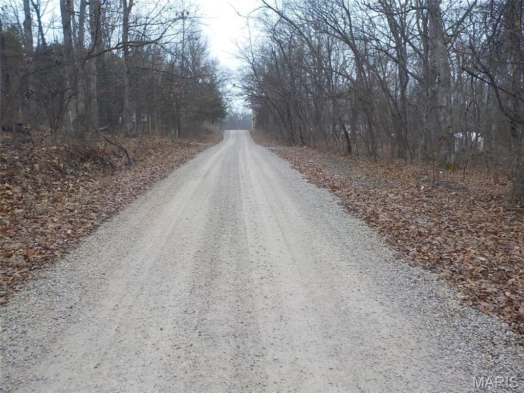 Picture 7