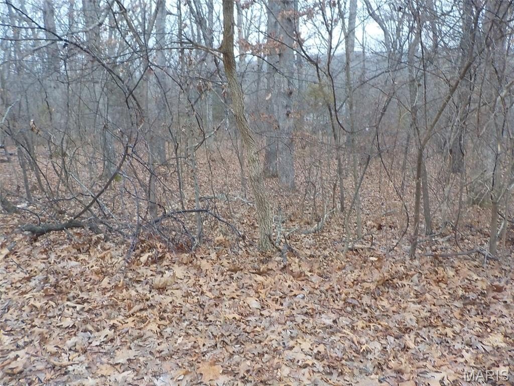 Picture 4