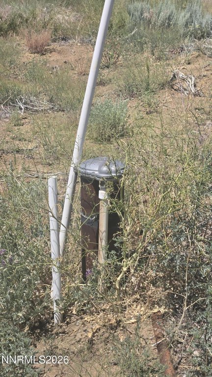 Picture 11