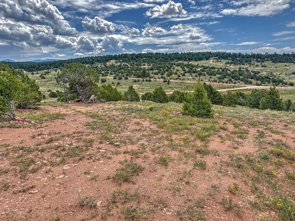 Picture 22